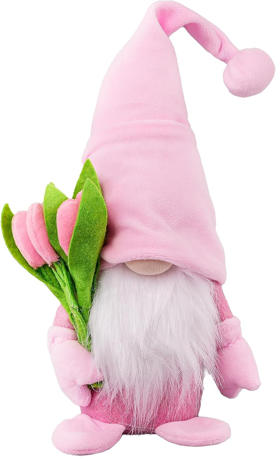 2IN1 SPONGE GNOMES