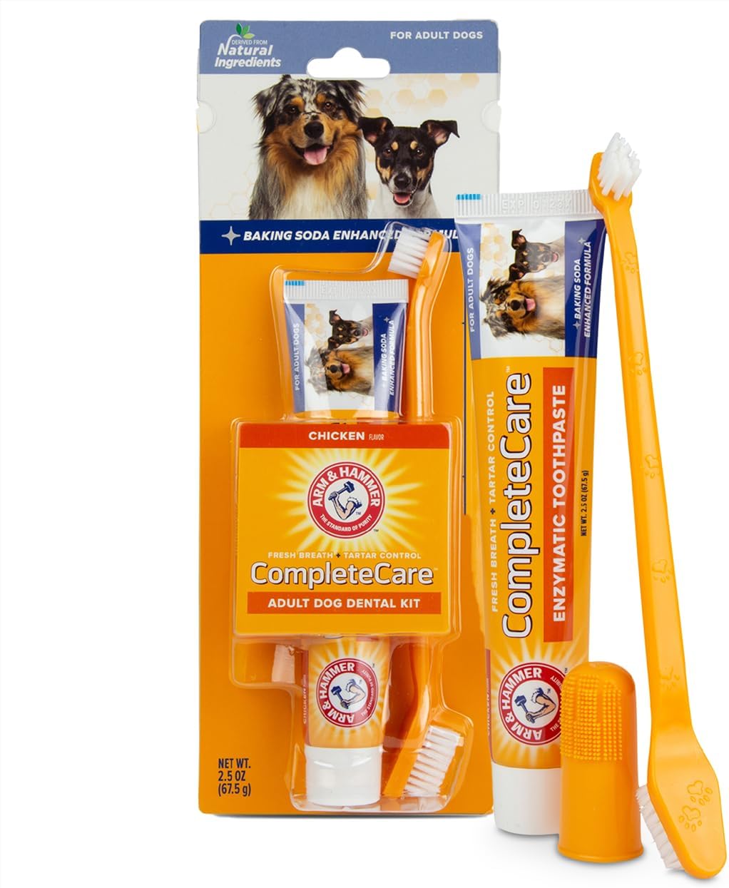 ARM&HAMMER ADLT DOG CCNT MINT DENTAL KIT