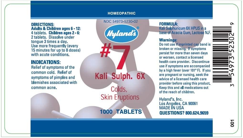 HYLAND'S NAT SULPH 6X #11 CELL SLT