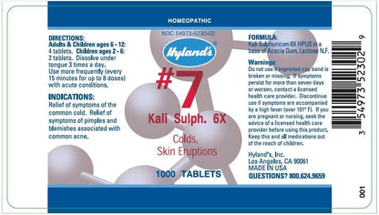 HYLAND'S NAT SULPH 6X #11 CELL SLT