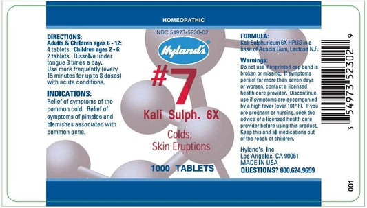 HYLAND'S NAT SULPH 6X #11 CELL SLT
