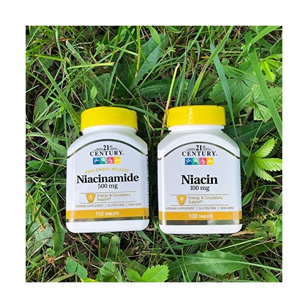 NIACINAMIDE 500MG TABS 110CT 21ST CENT