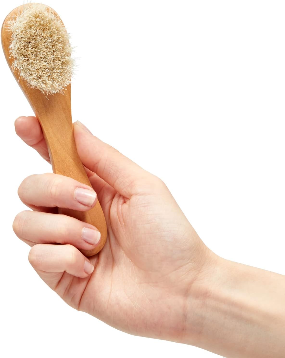 BODY BRUSH,DRY