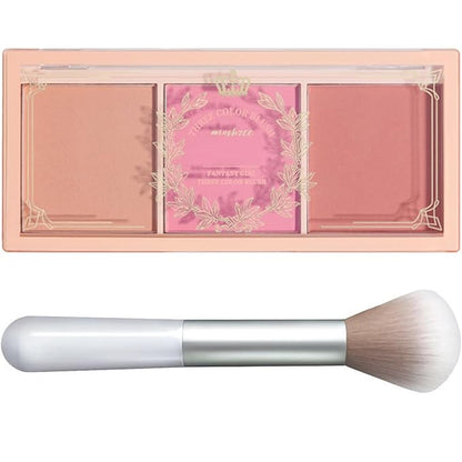 BLUSH PALETTE POWDER PINKS