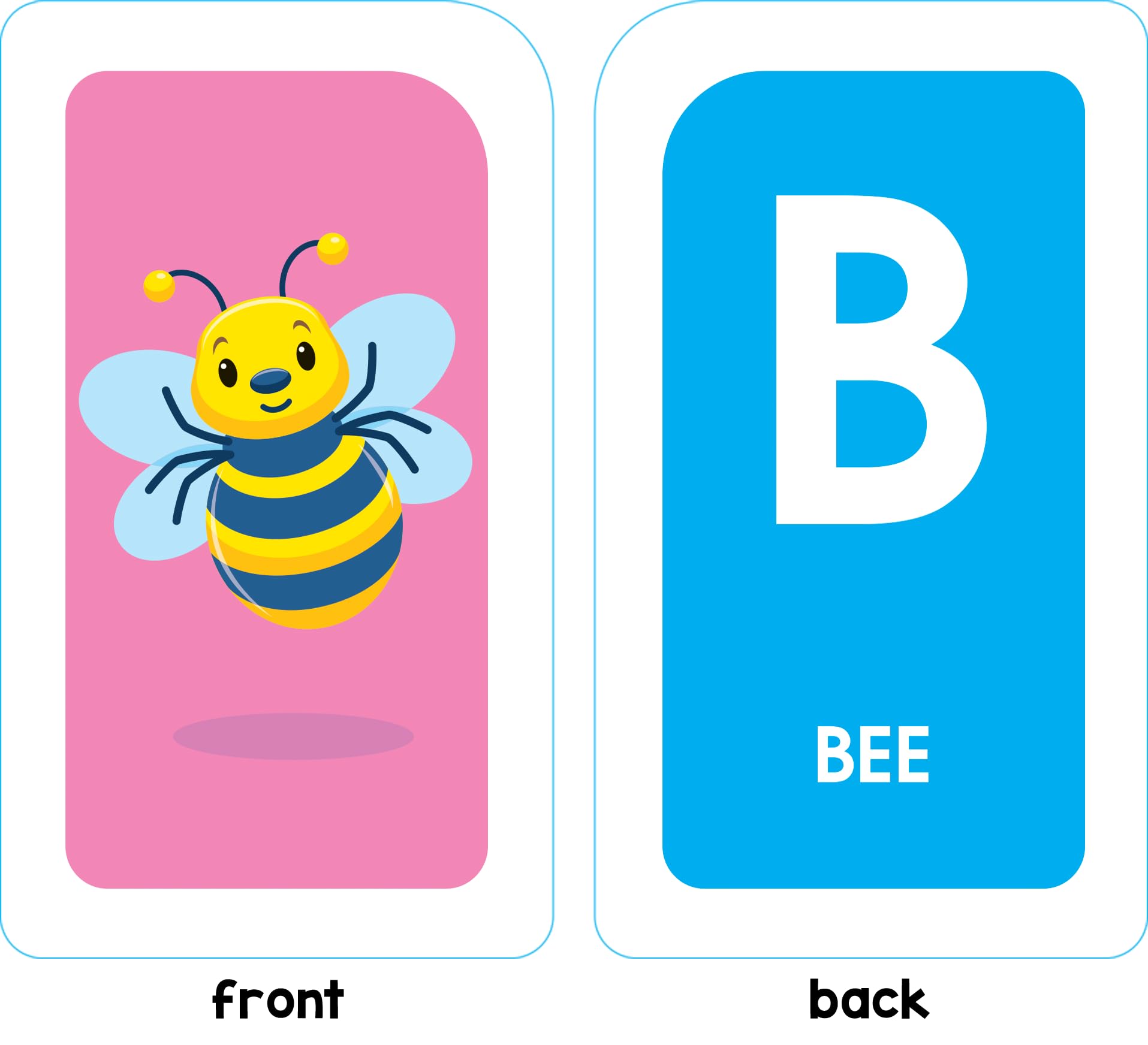 School Zone Alphabet Fun Flash Cards