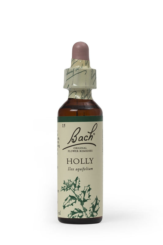 BACH HOLLY