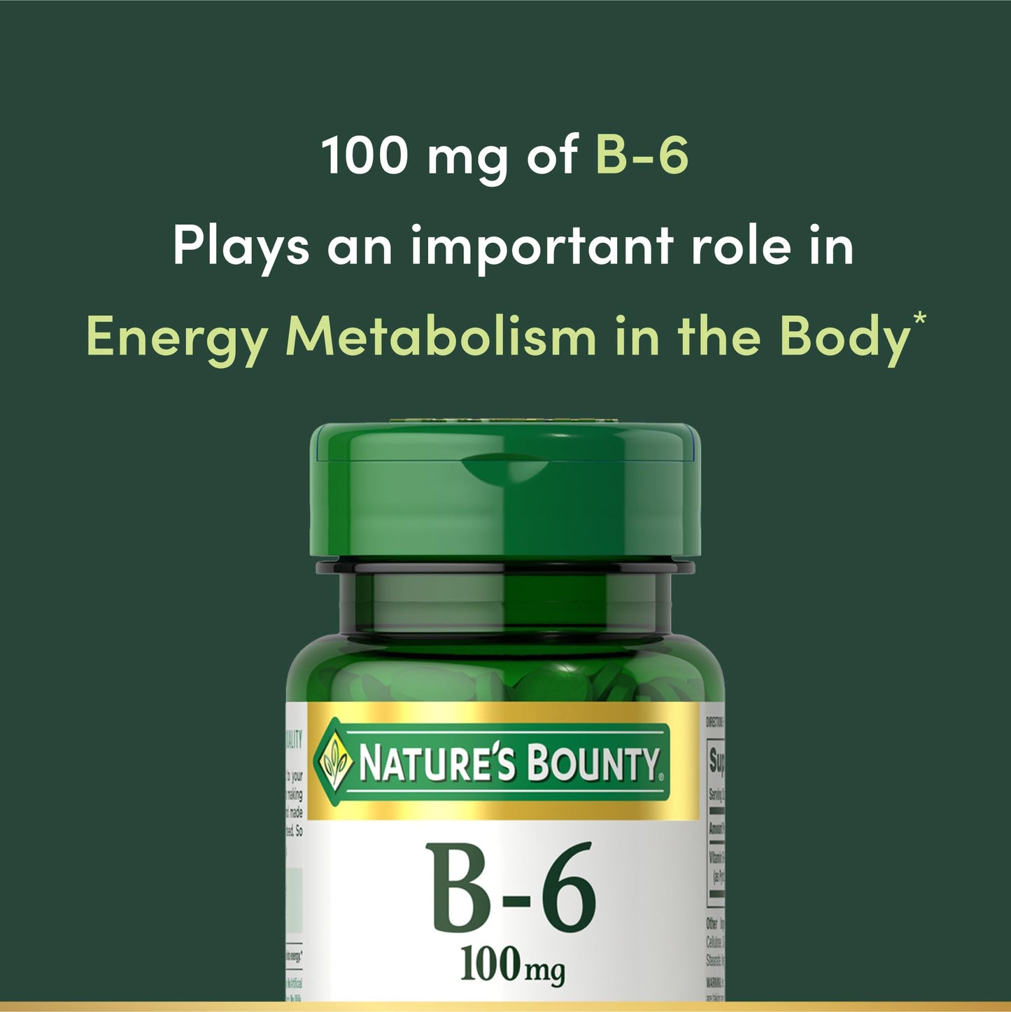 VIT B6 100MG TABLET 100CT NAT BOUNTY