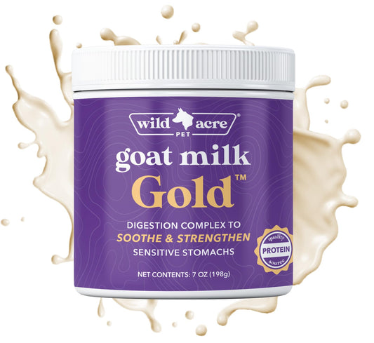 PROBIOTIC W/ GOAT MILK CAP 100CT WINDML