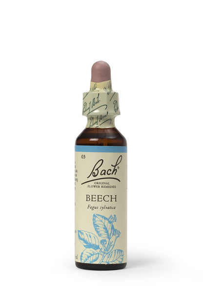 BACH BEECH
