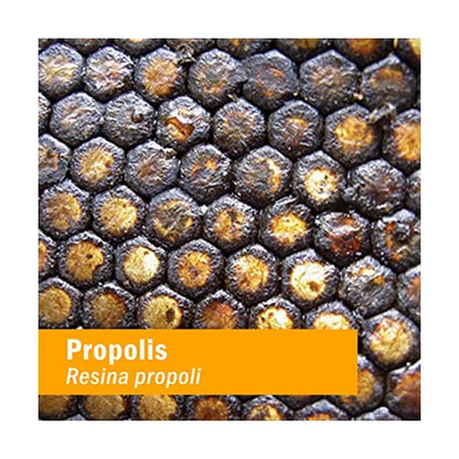 HERB PHARM PROPOLIS
