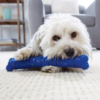 BulbHead Chewbrush Self Brushing Toothbrush for Dogs