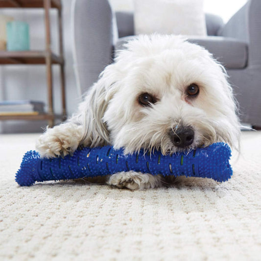 BulbHead Chewbrush Self Brushing Toothbrush for Dogs
