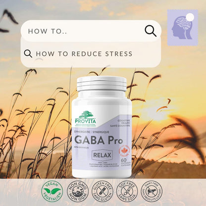 SYNERGISTIC GABA PRO