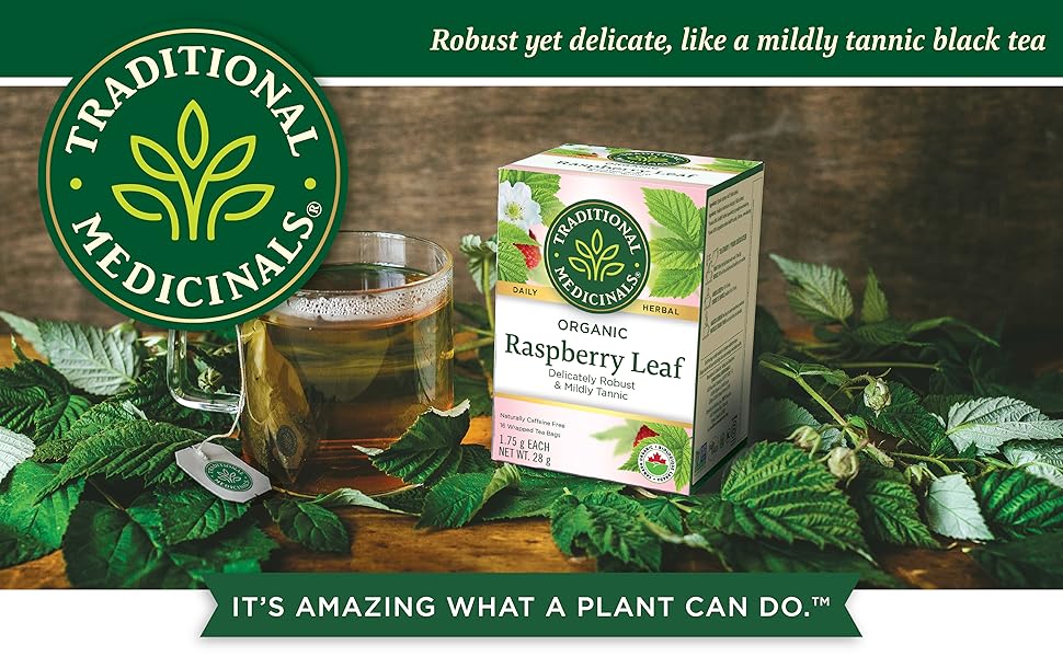 TRADITIONAL MEDICINALS TEA,OG2,RASPBERRY LEAF