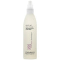 GIOVANNI HAIR CARE PRODUCTS VOLUMIZING SPRAY,ROOT 66