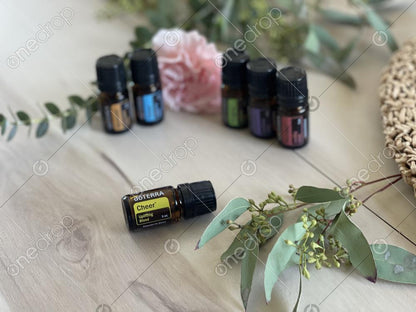 ESS OIL,UPLIFTING KIT