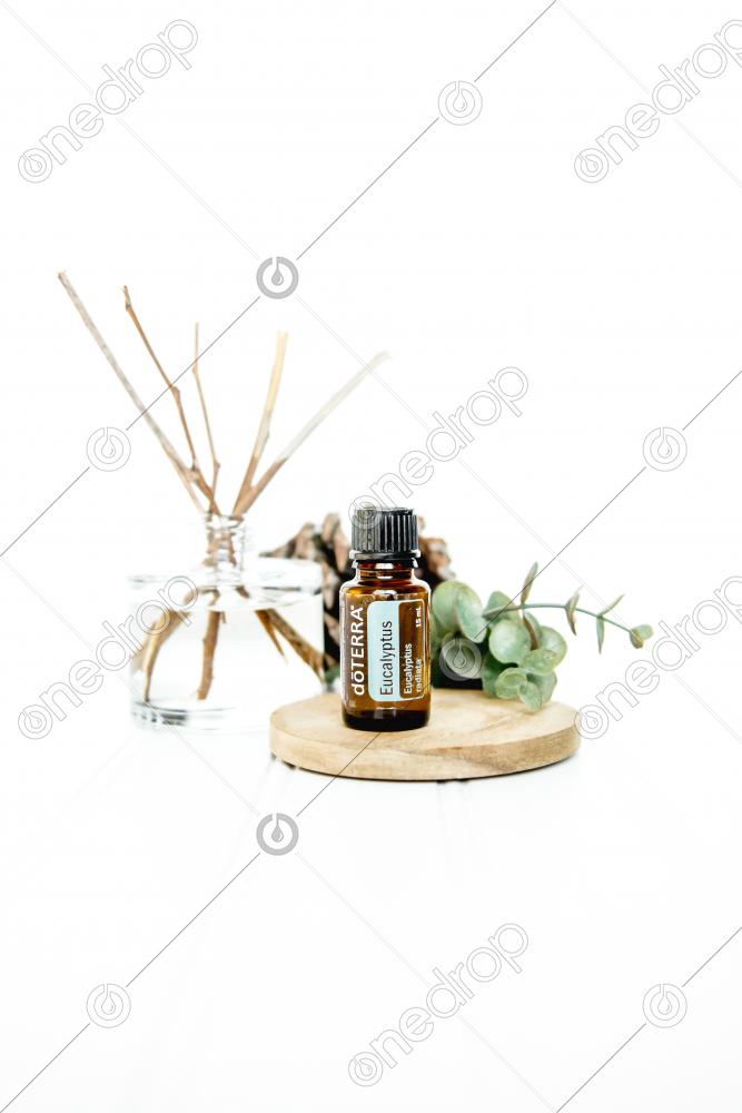 ACEITE DLC EUCALYPTUS OIL   2OZ