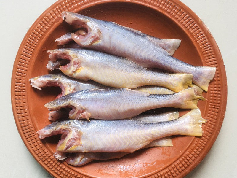 TPSTE,SEA FRESH