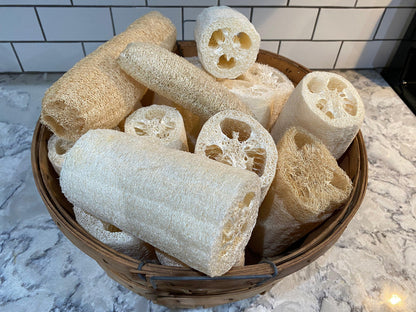 LOOFAH SPONGE,PLNT BSD