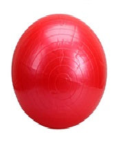 SC 65CM EXERCISE BALL WITH PMP