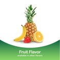 GNP NICOTINE 4MG COATED FRUIT GUM 100CT