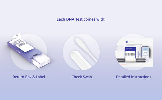 NOWFUTURE DNA FITNESS TEST