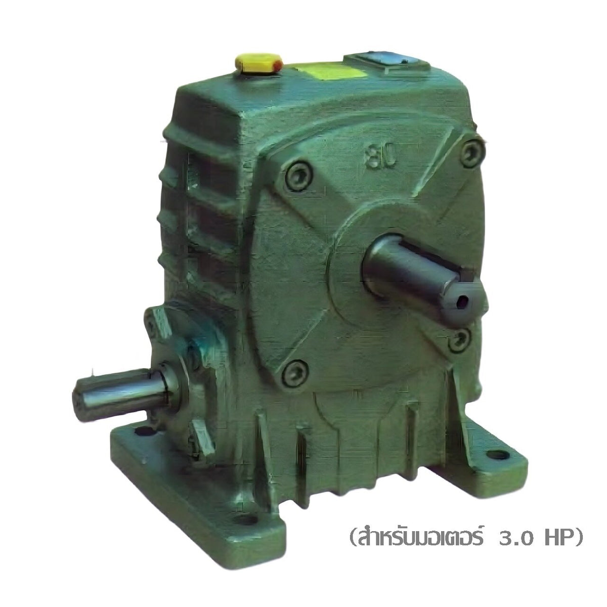PAMP/KNDO FLBE WPS PA 100 SNST