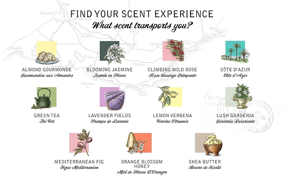 SOUTH OF FRANCE BAR SOAP,SWEET ALMOND