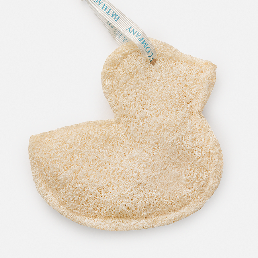 LOOFAH SPONGE,PLNT BSD