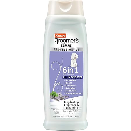 PROFESSIONALS 6IN1 SH 18OZ DSHP