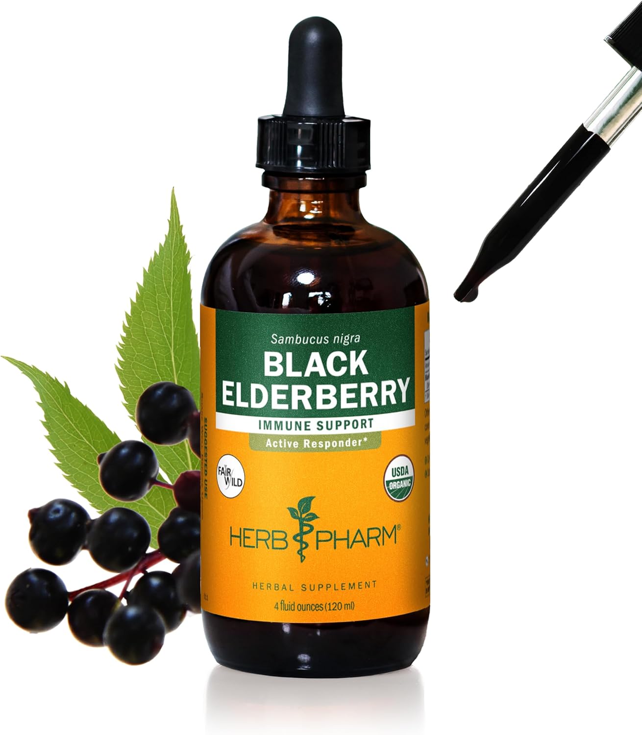HERB PHARM BLACK ELDERBERRY EXTRACT
