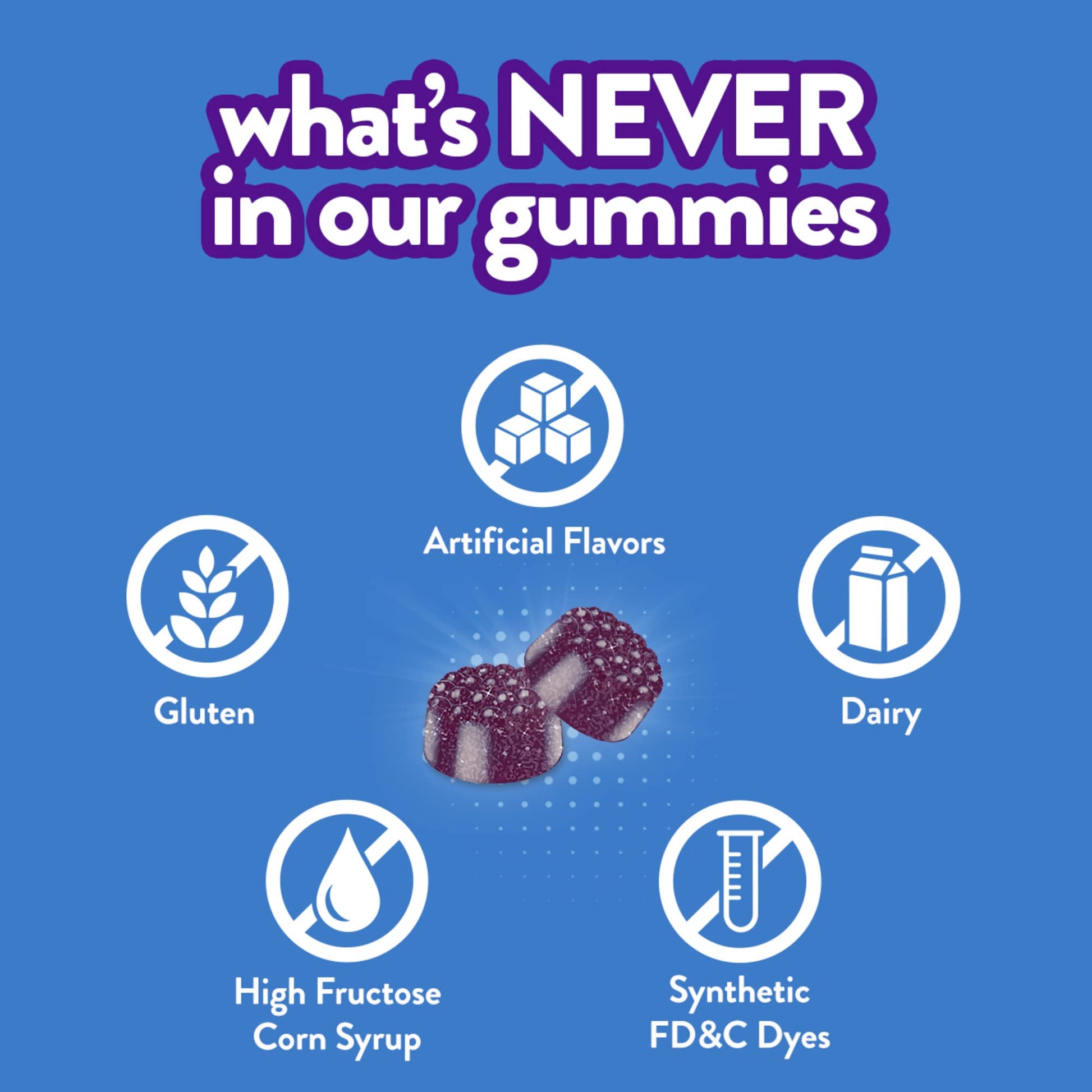 VITAFUSION ASHWAGANDHA GUMMY 60CT