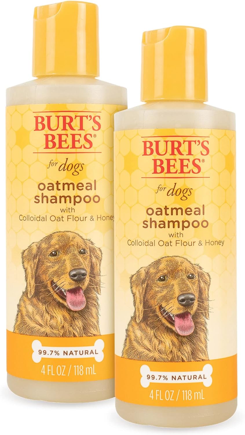 BURTS BEES DOG OATMEAL&HONEY SHM 16OZ
