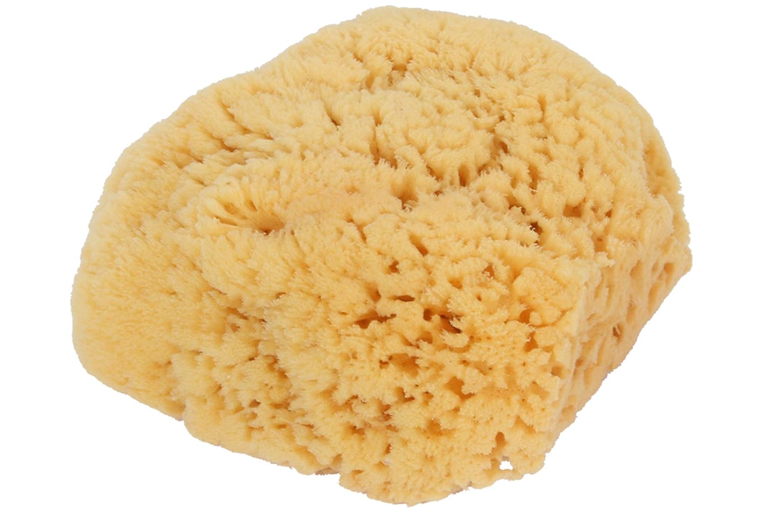 BASS BRUSHES SEA SPONGE,BATH/SHWR,LRG