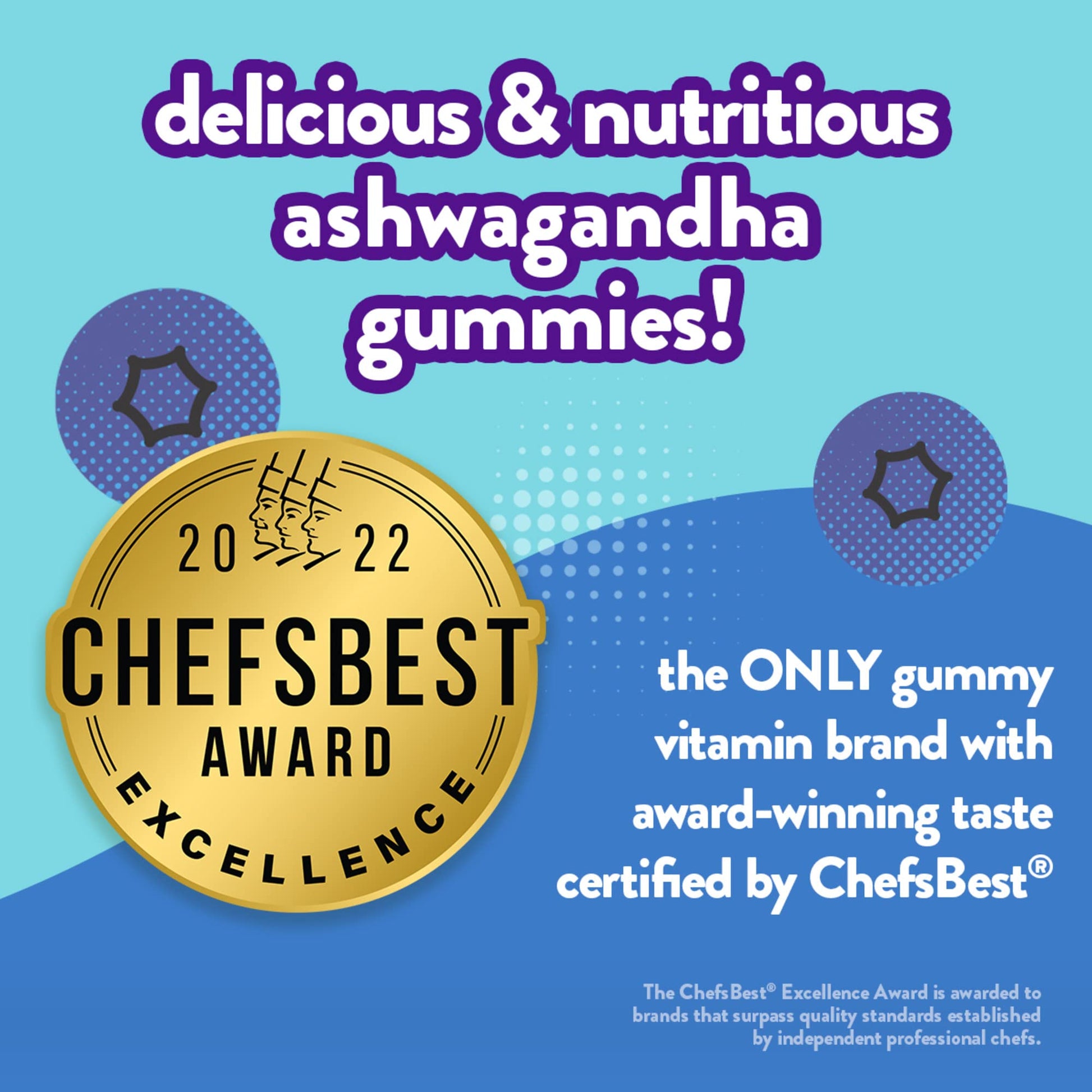 VITAFUSION ASHWAGANDHA GUMMY 60CT
