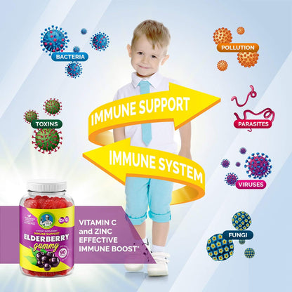 NATROL ELDERBERRY IMMUNE 100MG GMY 60CT