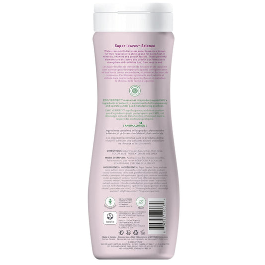 DIETY AM PLANT SHAMPOO 8OZ