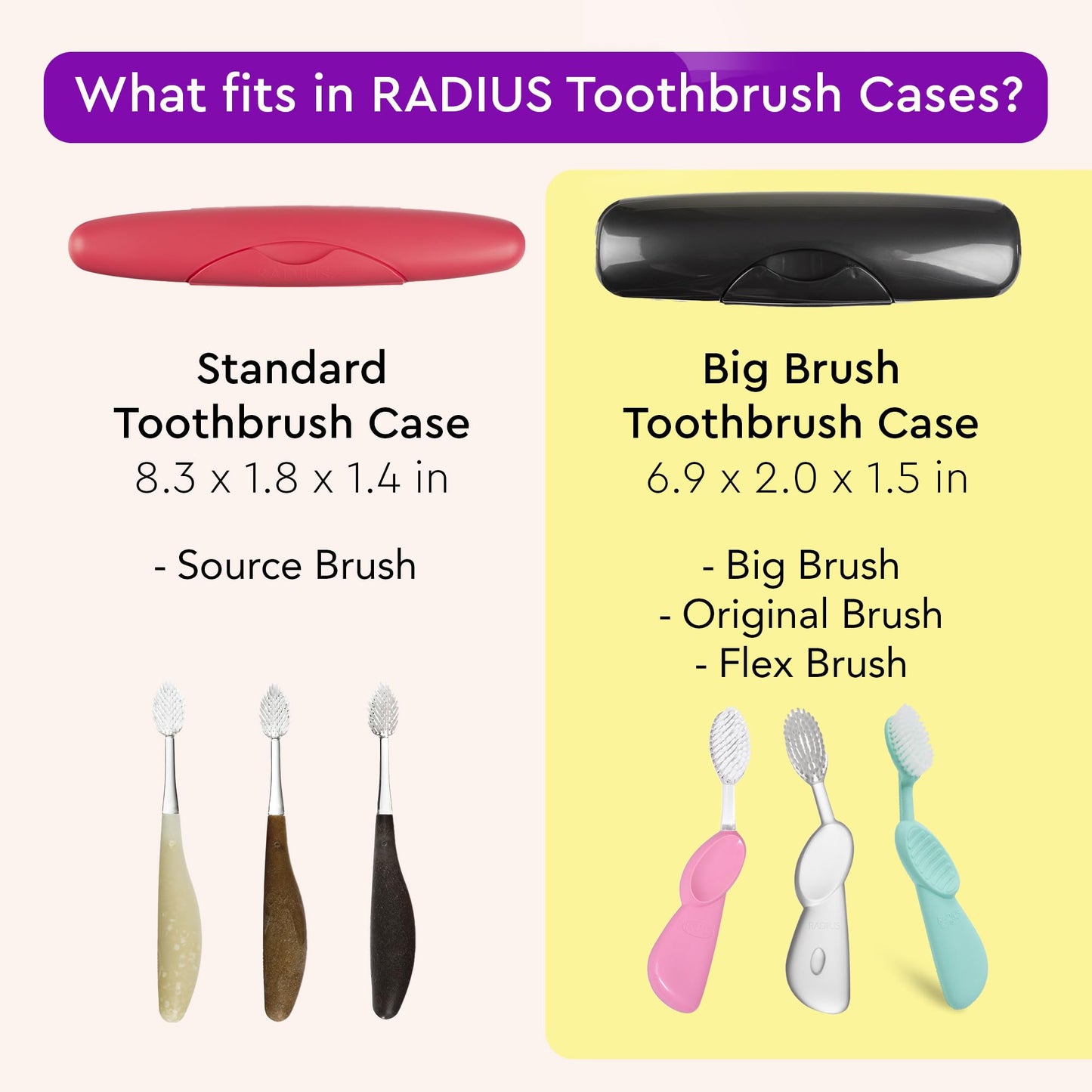 RADIUS CASE,TBRUSH,ORIGINL/SCUBA