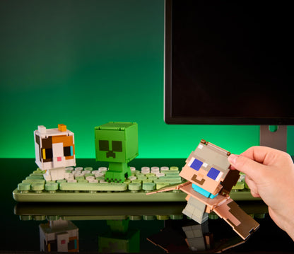 MINECRAFT FLIPPIN FIGS AST