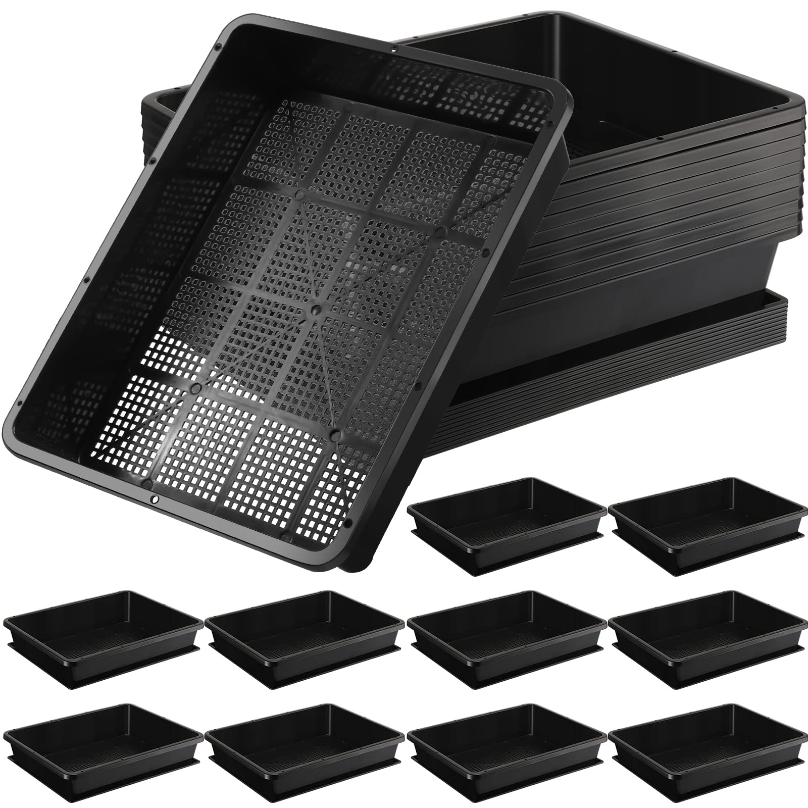 STARTER UNIT WITH PLASTIC MESH TRAYS DS