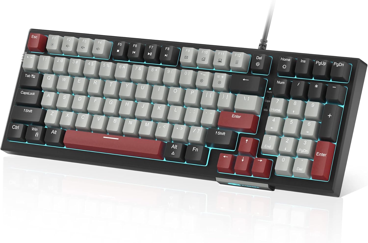 GUT RESPONSE PBT CW 30EA OR FLAV