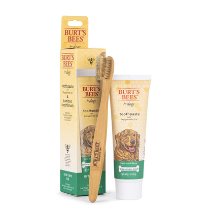 BURT'S BEES DOG WATRLSS APL&HNY SHM 10OZ