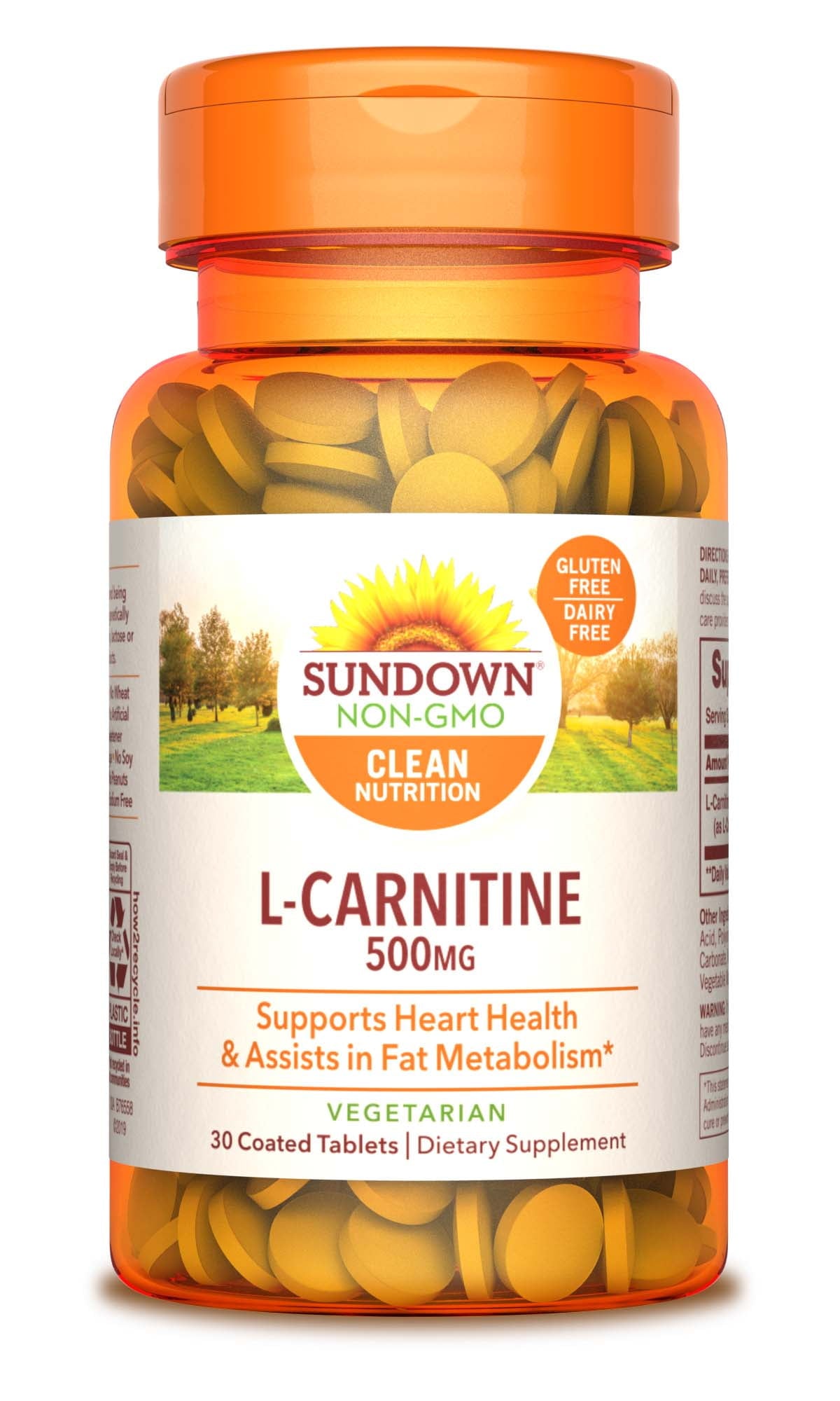 SDNE L-CARNITINE CP 500MG 60