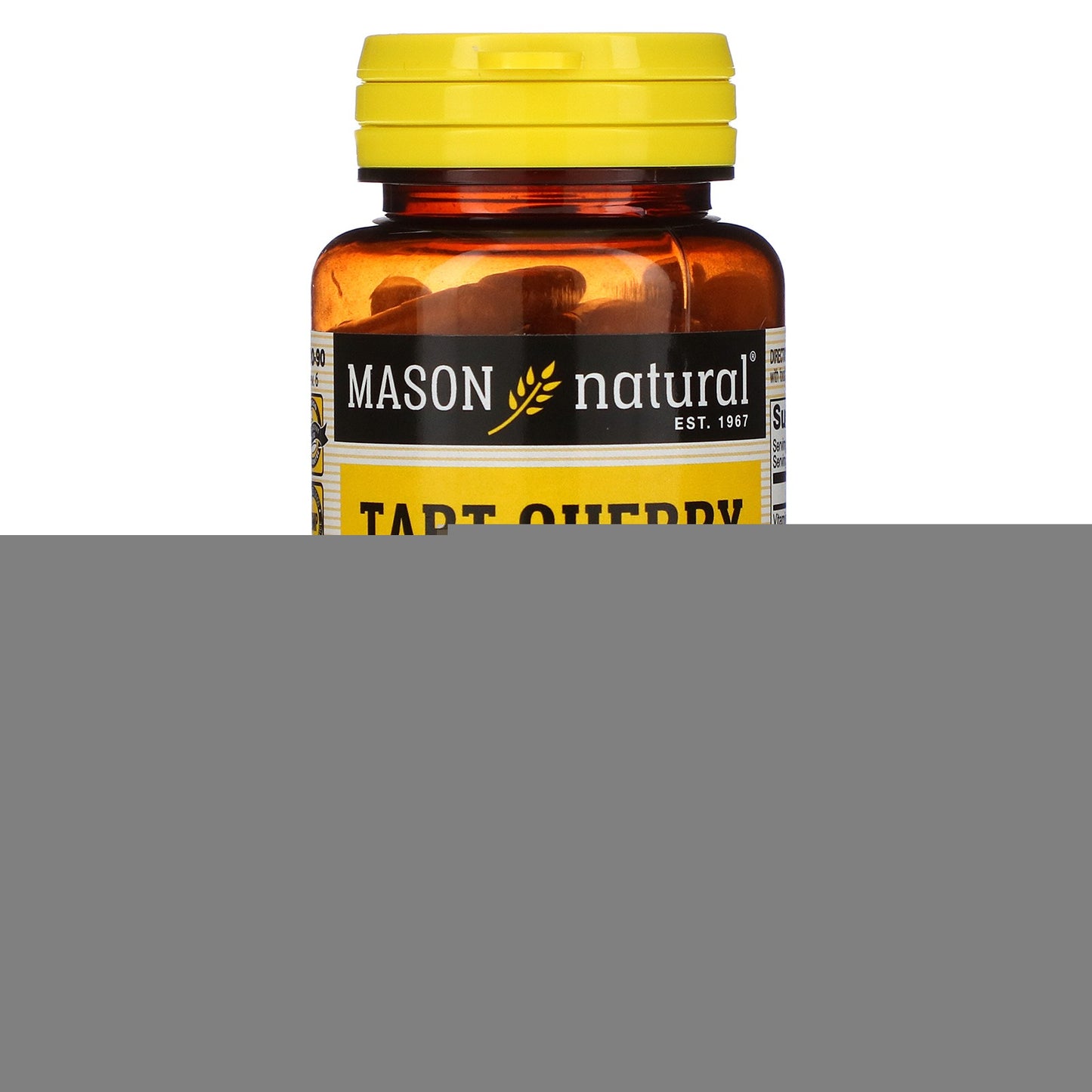 CHARCOAL ACT VEG 520MG CAPS 60CT MASON