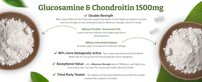 GLUCOSAM/CHOND CP 60 MAX 1500
