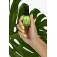 china glaze Nail Lacquer, Holo Finish - Hot Girl Update