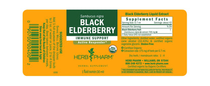 BLACK ELDERBERRY LQ 237ML CONC