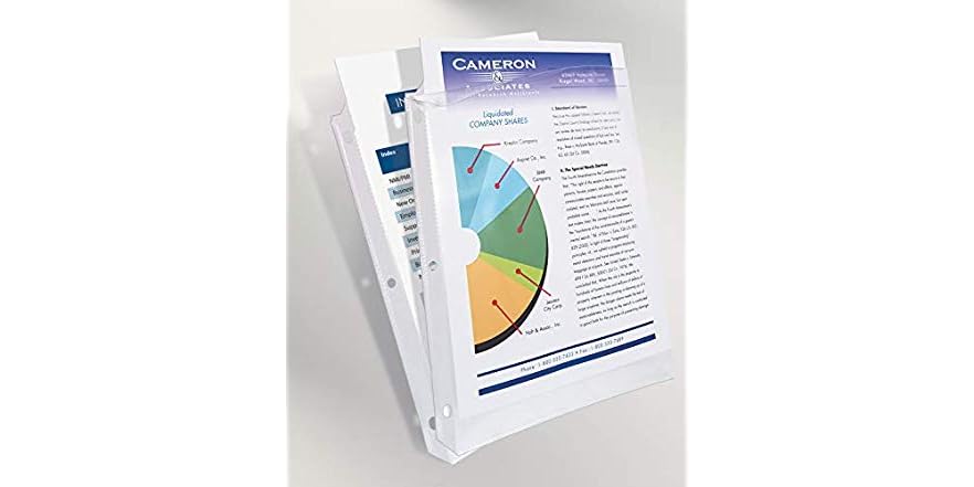 Ava Clear Sheet Protectors, 10 count