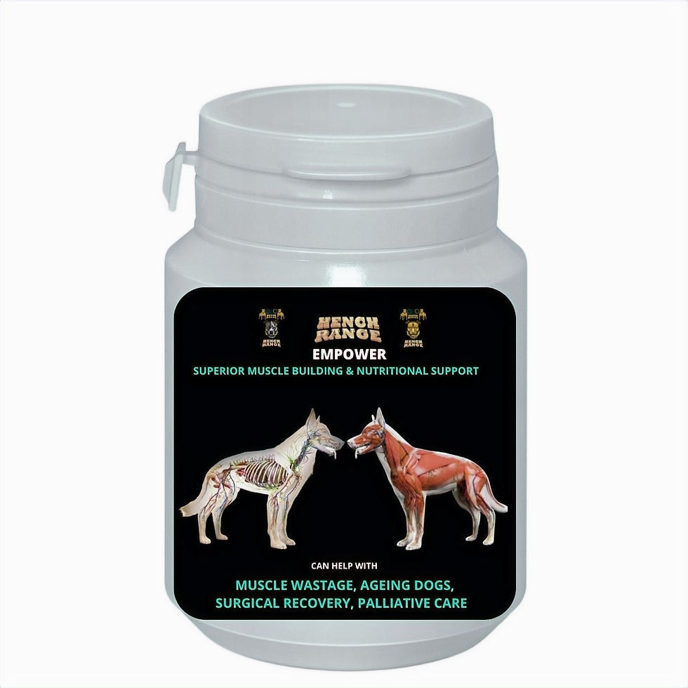ADVANCED CR 3IN1 DOG SP 16OZ DSHP