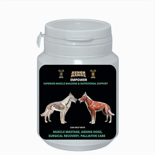 ADVANCED CR 3IN1 DOG SP 16OZ DSHP